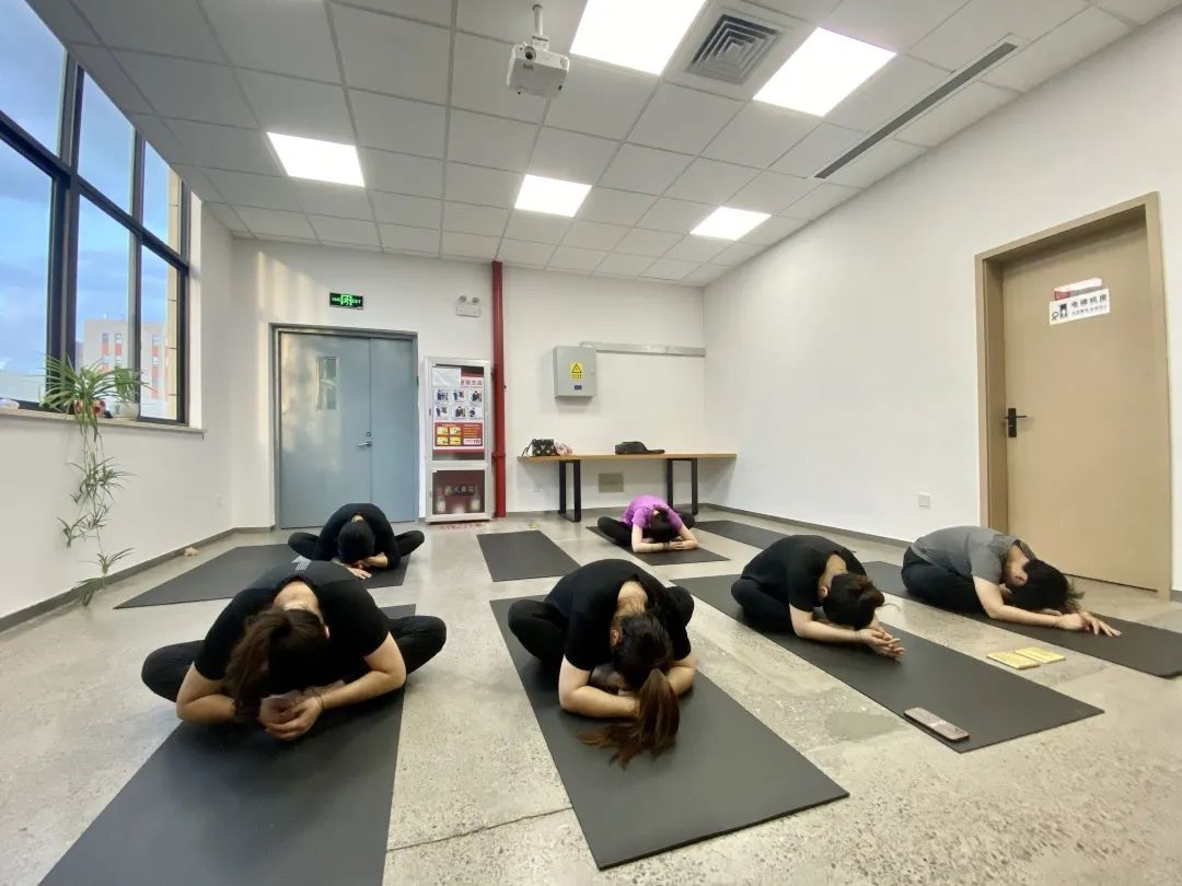 夏日炎炎， 中泰“瑜”你攜手同行